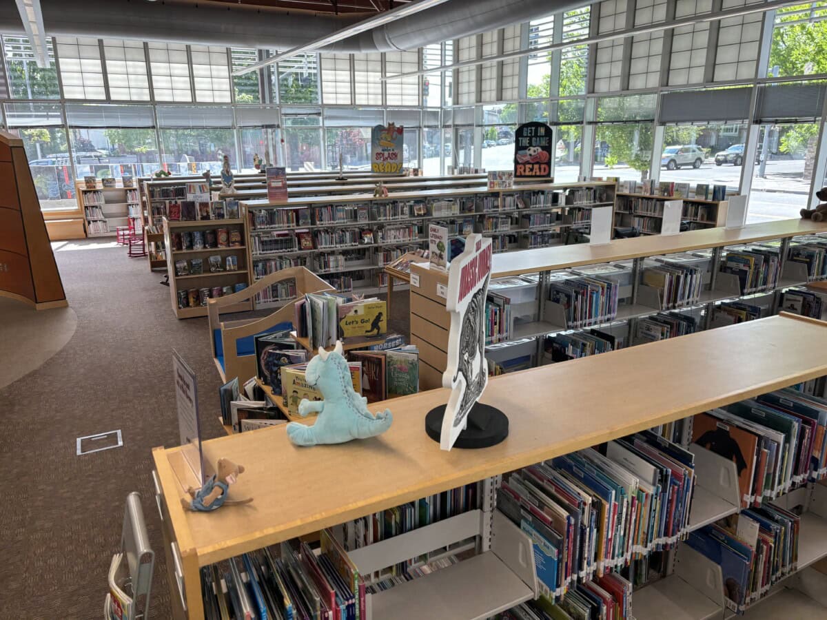 Library Shelves